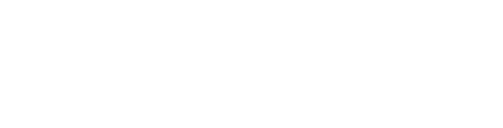 Logotipo da Buffalo Digital