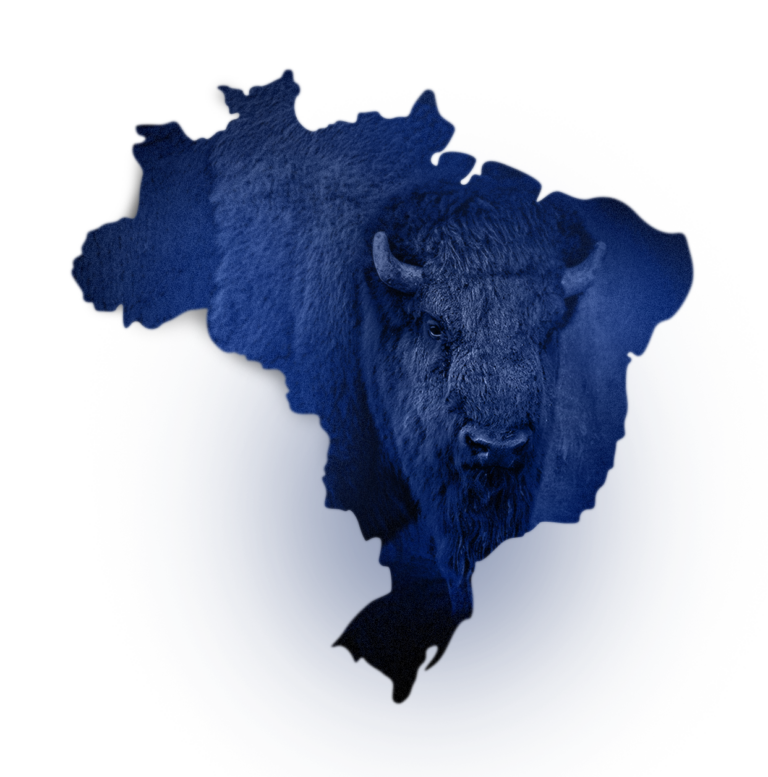 Mapa do Brasil sobreposto à cabeça de um búfalo, representando a atuação nacional da Buffalo Digital